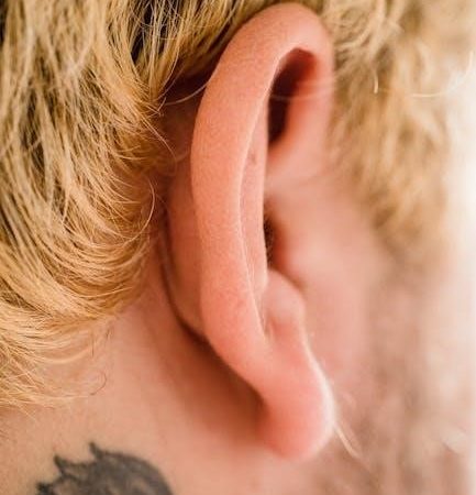 form of the head and neck – pdf