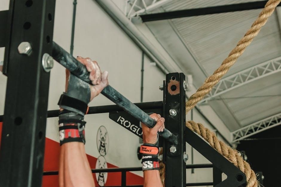 calisthenics training pdf