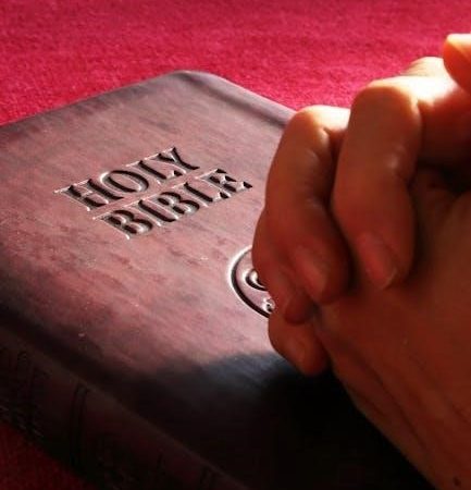 gospel of john study guide