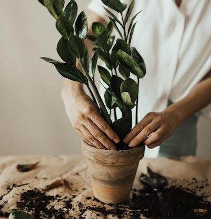 www buzzyseeds com for growing instructions