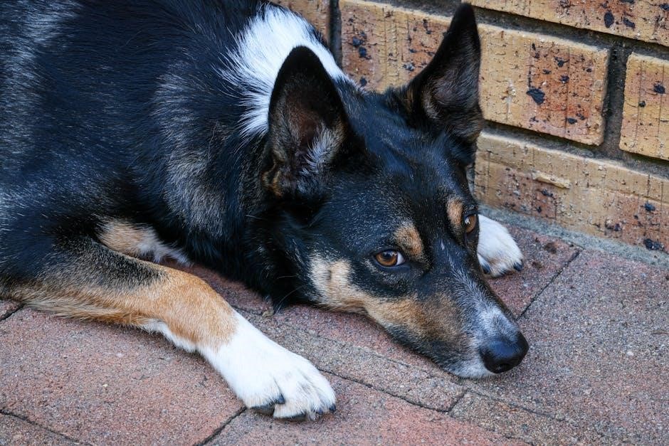 dog sees god script pdf