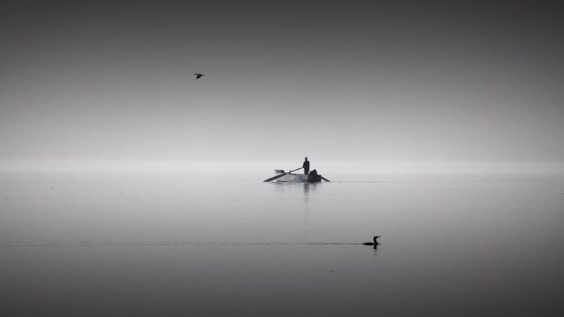 final fantasy 11 fishing guide