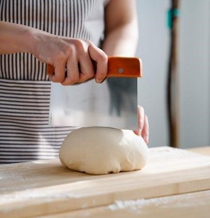 dash safe slice mandoline manual pdf
