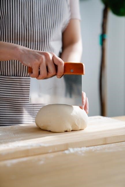 dash safe slice mandoline manual pdf