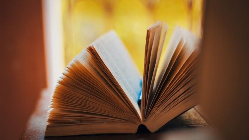 geeta chapter 15 pdf