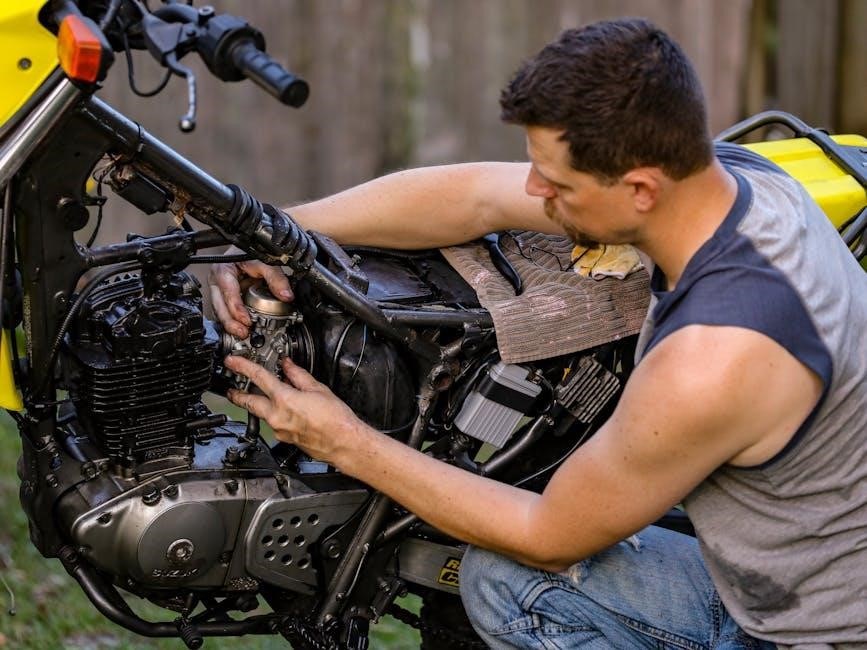 manual de conduccion de la florida