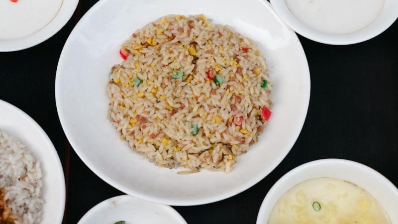 elite gourmet rice cooker instructions