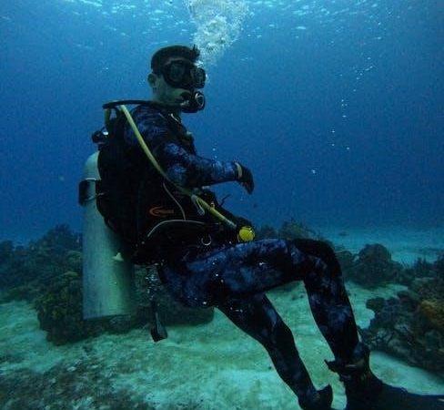 u.s. navy diving manual