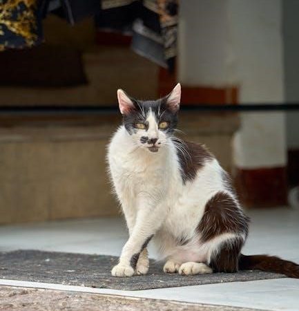 if cats disappeared from the world pdf