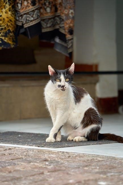 if cats disappeared from the world pdf