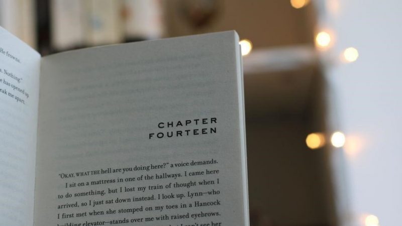 talk like ted book pdf